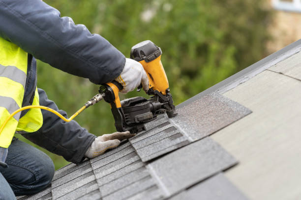 Best Skylight Installation and Repair  in Clarence, IA